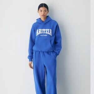 Aritzia Cozy Sweatfleece Perfect Hoodie